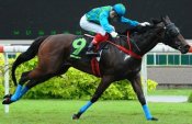 Rising apprentice jockey A'Isisuhairi Kasim shows his winning style aboard Dazzling Dame last Sunday.<br>Photo by Singapore Turf Club